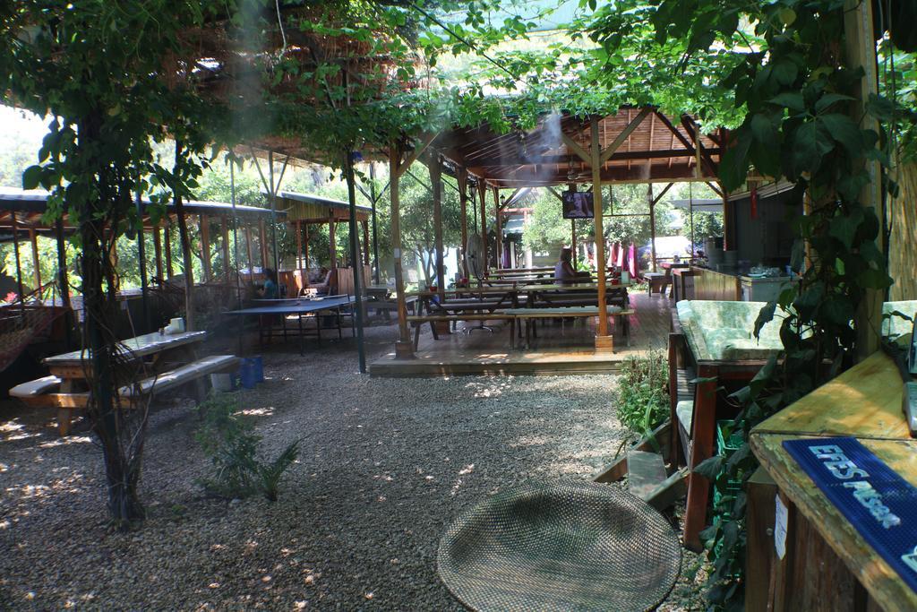Olympos Zeytin Bed and Breakfast Exteriör bild