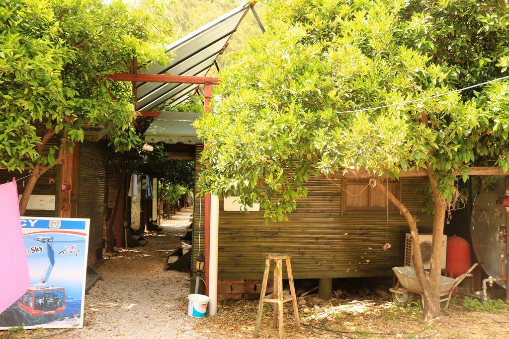 Olympos Zeytin Bed and Breakfast Exteriör bild
